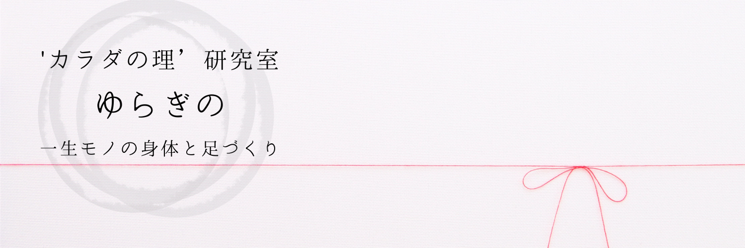 カラダの理研究室ゆらぎの